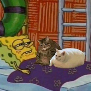 Meet your Posher, Noelle